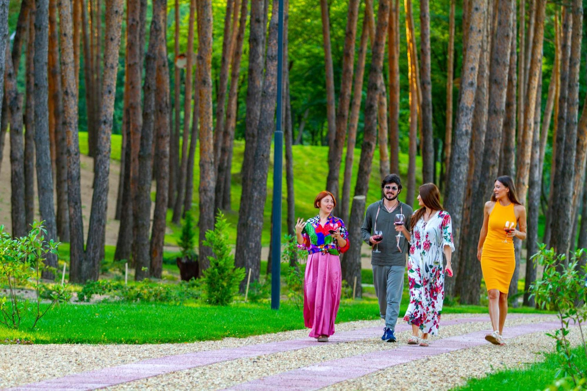Курортный отель Bioli Welness Коджори Экстерьер фото